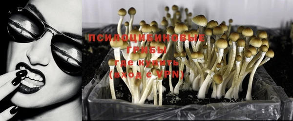 гашик Наволоки