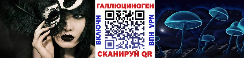 Псилоцибиновые грибы Psilocybe  Оса 