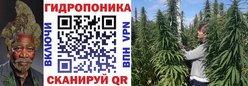 Бошки марихуана LSD WEED ОМГ ОМГ Оса
